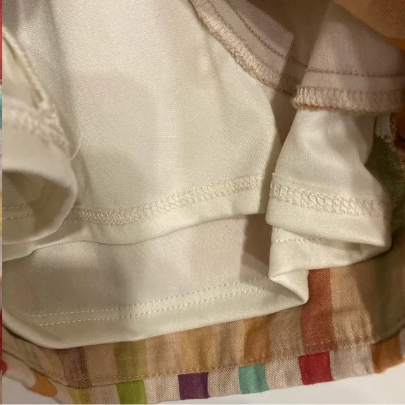 Anthropologie Eva Franco Shorts Vertical Striped Rainbow Sz 6 Lined