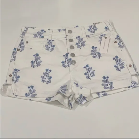 ANTHROPOLOGIE PILCRO ULTRA HIGH-RISE DENIM SHORTS 29