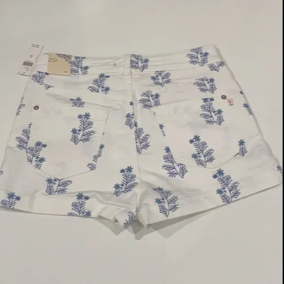 ANTHROPOLOGIE PILCRO ULTRA HIGH-RISE DENIM SHORTS 29