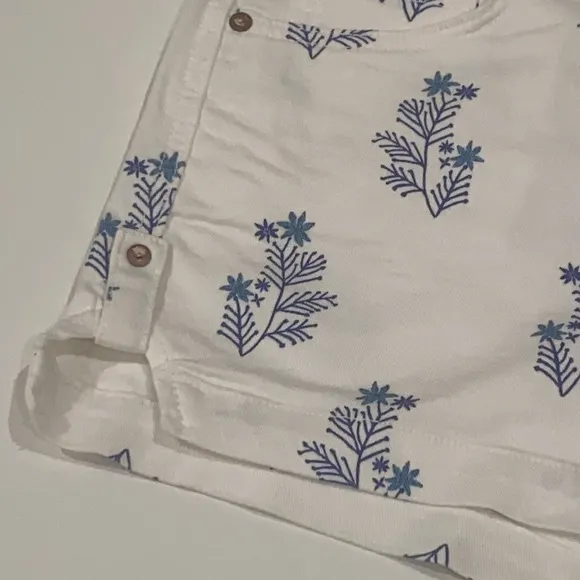 ANTHROPOLOGIE PILCRO ULTRA HIGH-RISE DENIM SHORTS 29