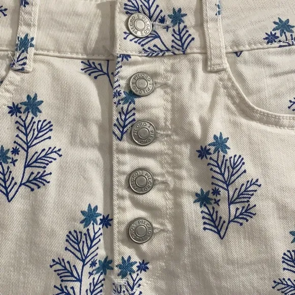 ANTHROPOLOGIE PILCRO ULTRA HIGH-RISE DENIM SHORTS 29