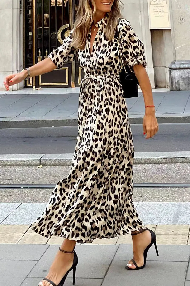 Casual Leopard Buttons V Neck A Line Dresses