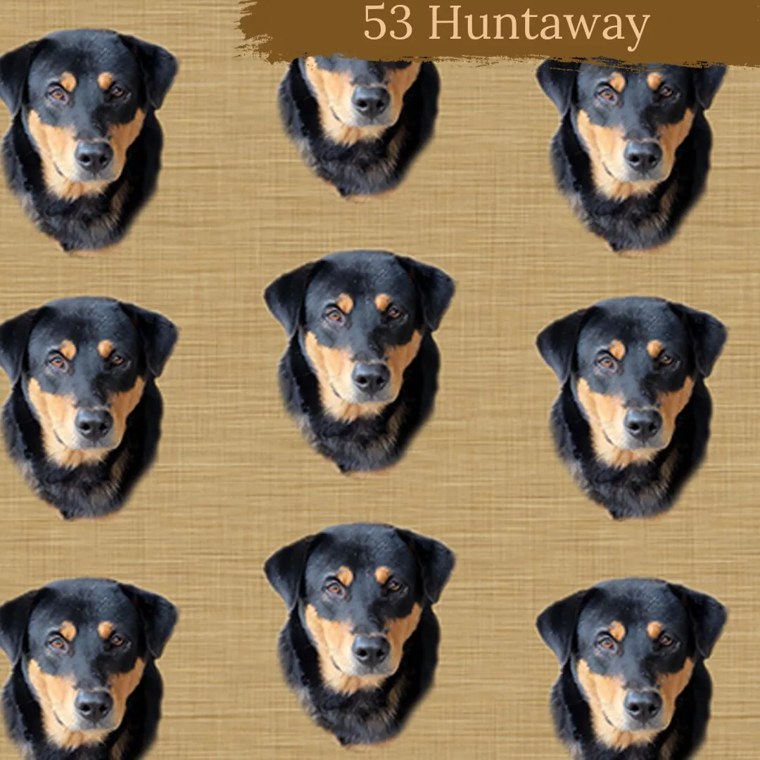 Dog Breeds shorts with rolled cuffs 0-4 years