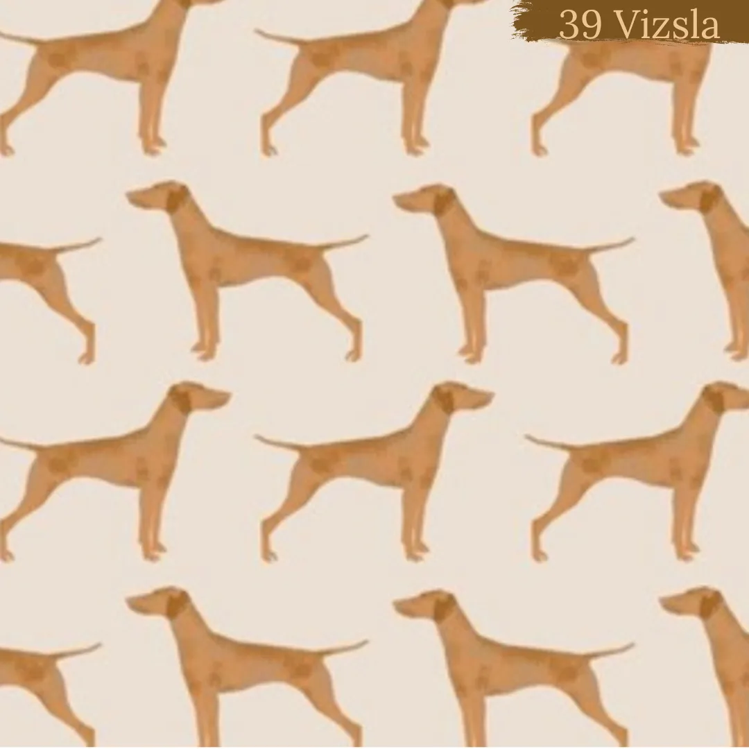 Dog Breeds shorts with rolled cuffs 0-4 years