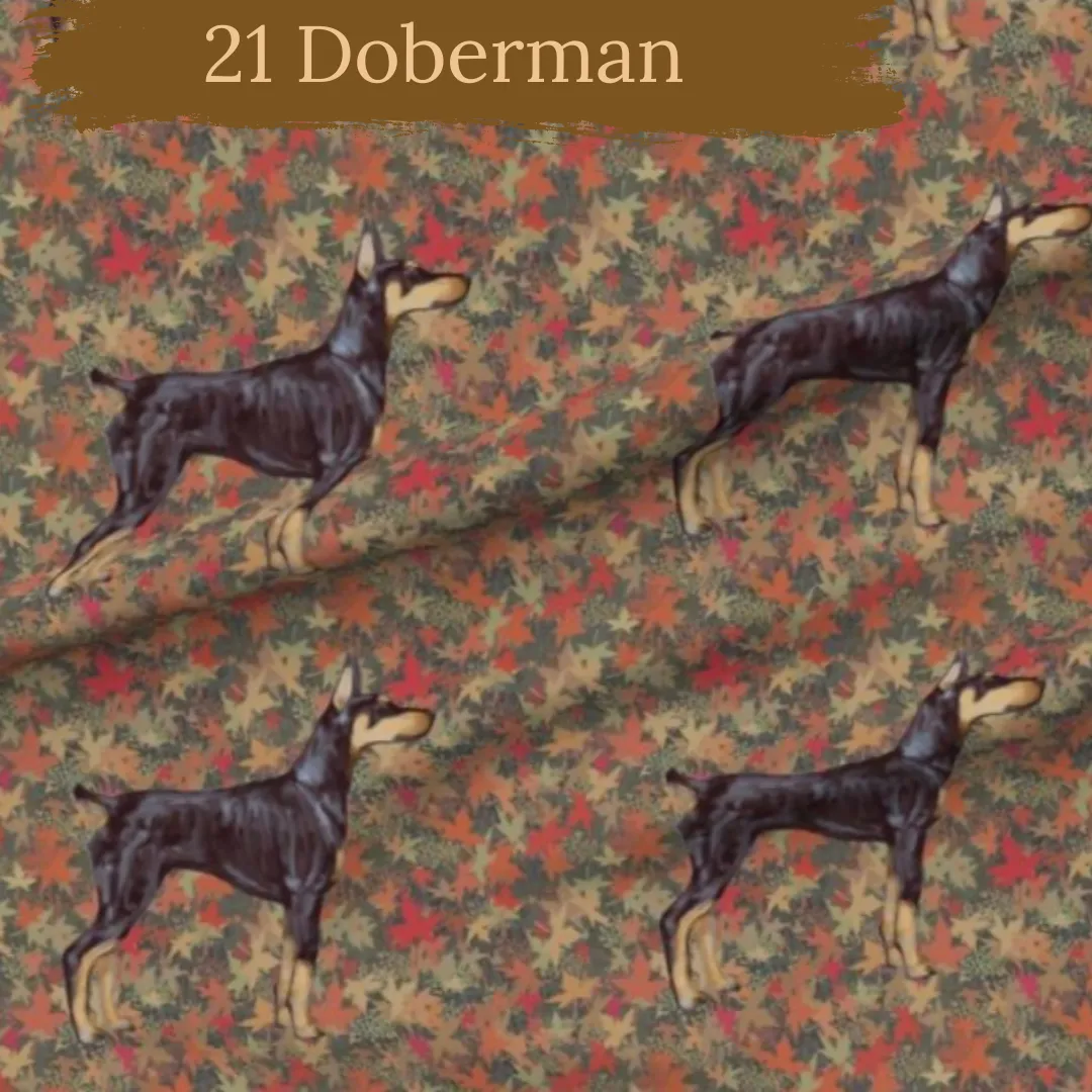 Dog Breeds shorts with rolled cuffs 0-4 years