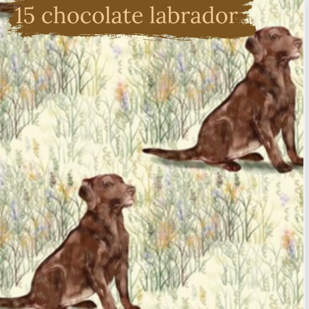 Dog Breeds shorts with rolled cuffs 0-4 years
