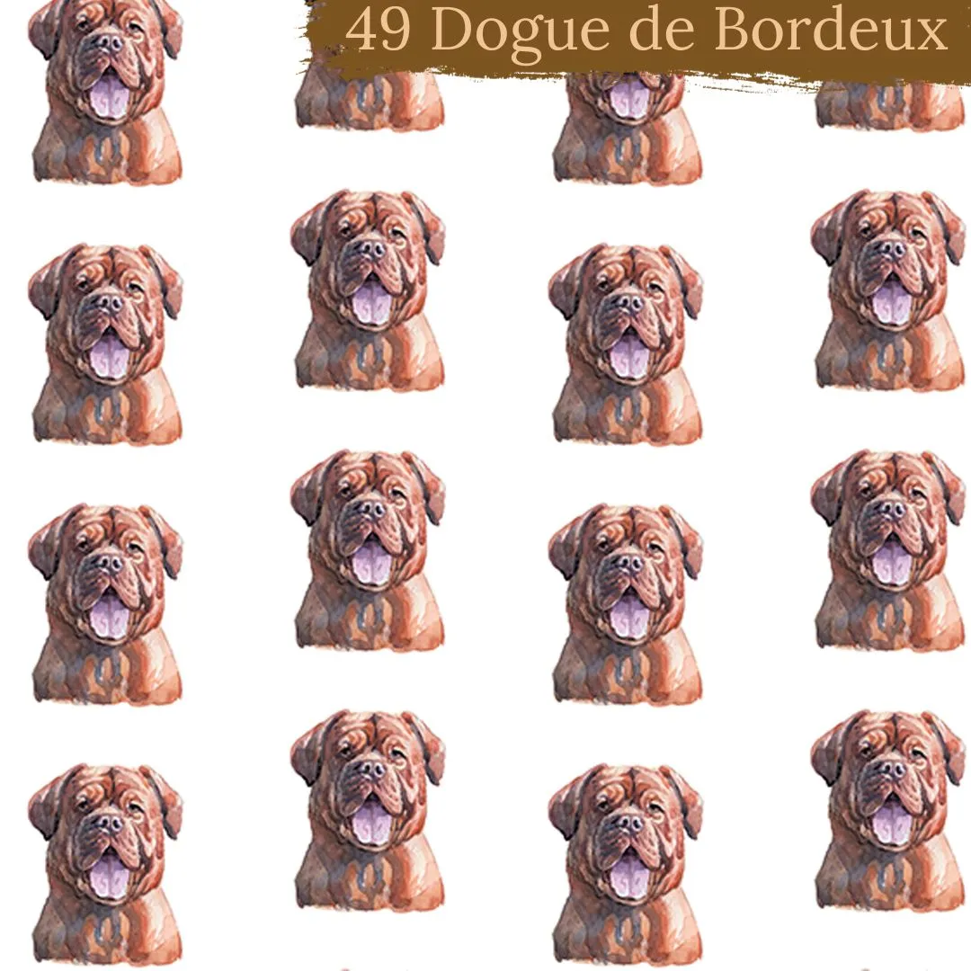 Dog Breeds shorts with rolled cuffs 0-4 years