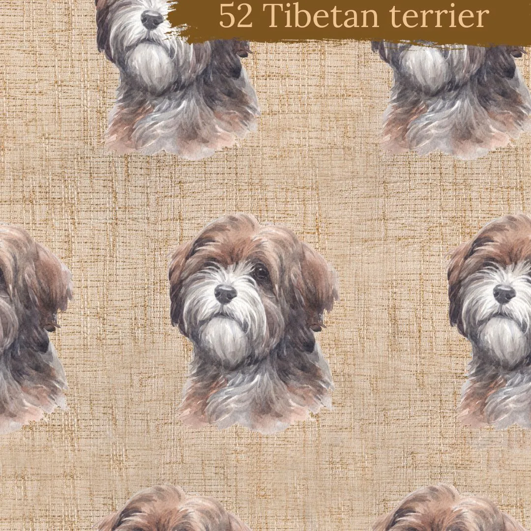 Dog Breeds shorts with rolled cuffs 0-4 years