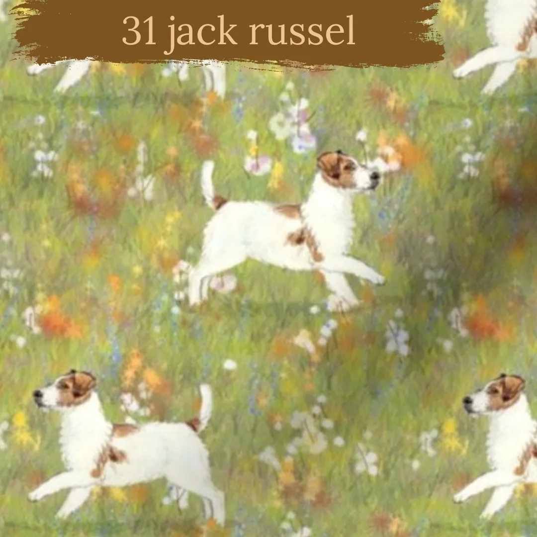Dog Breeds shorts with rolled cuffs 0-4 years
