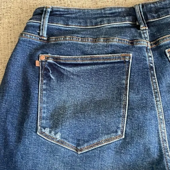 Judy Blue Denim Raw Hem Blue Jean Denim Shorts 1X