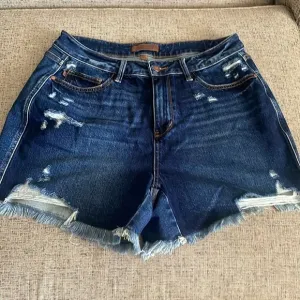 Judy Blue Denim Raw Hem Blue Jean Denim Shorts 1X