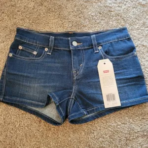 Levi's Denim Shorts Size 24