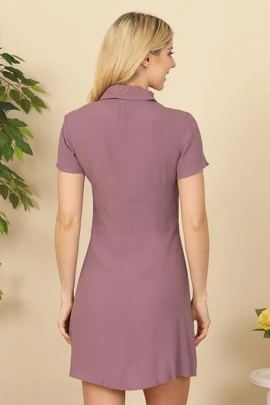 Mini Collar Dress