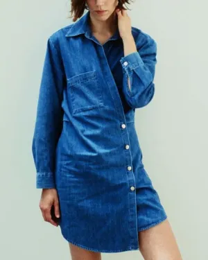 Pile Collar Single-breasted Denim Mini Dresses