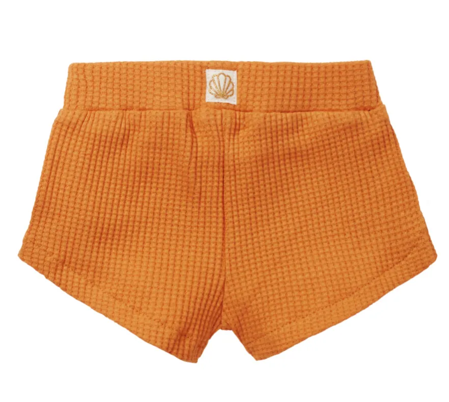 SUNFLOWER SET