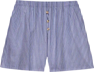 The Stripe Pop Boxer