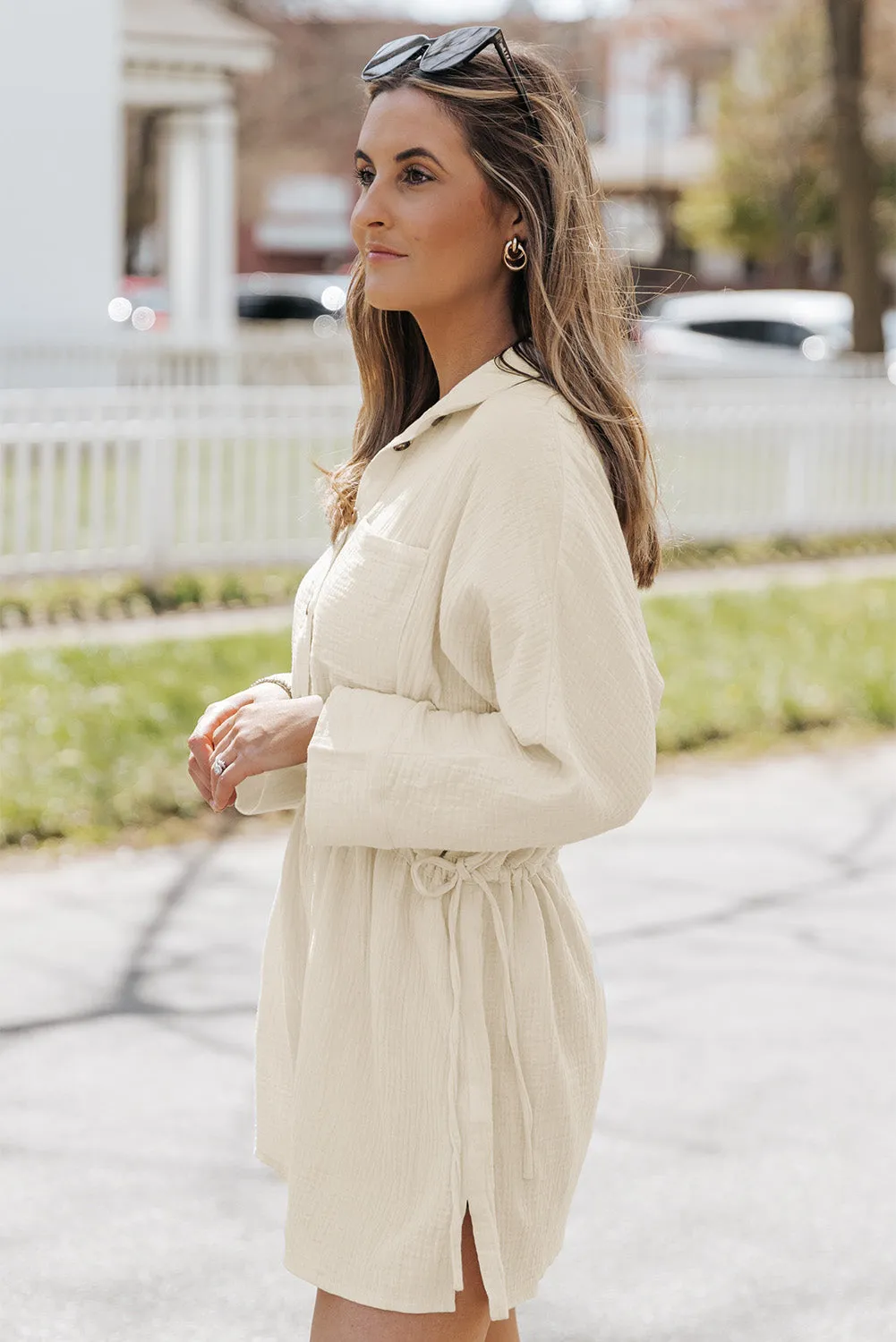 Thea Button-Up Long Sleeve Collared Neck Mini Dress