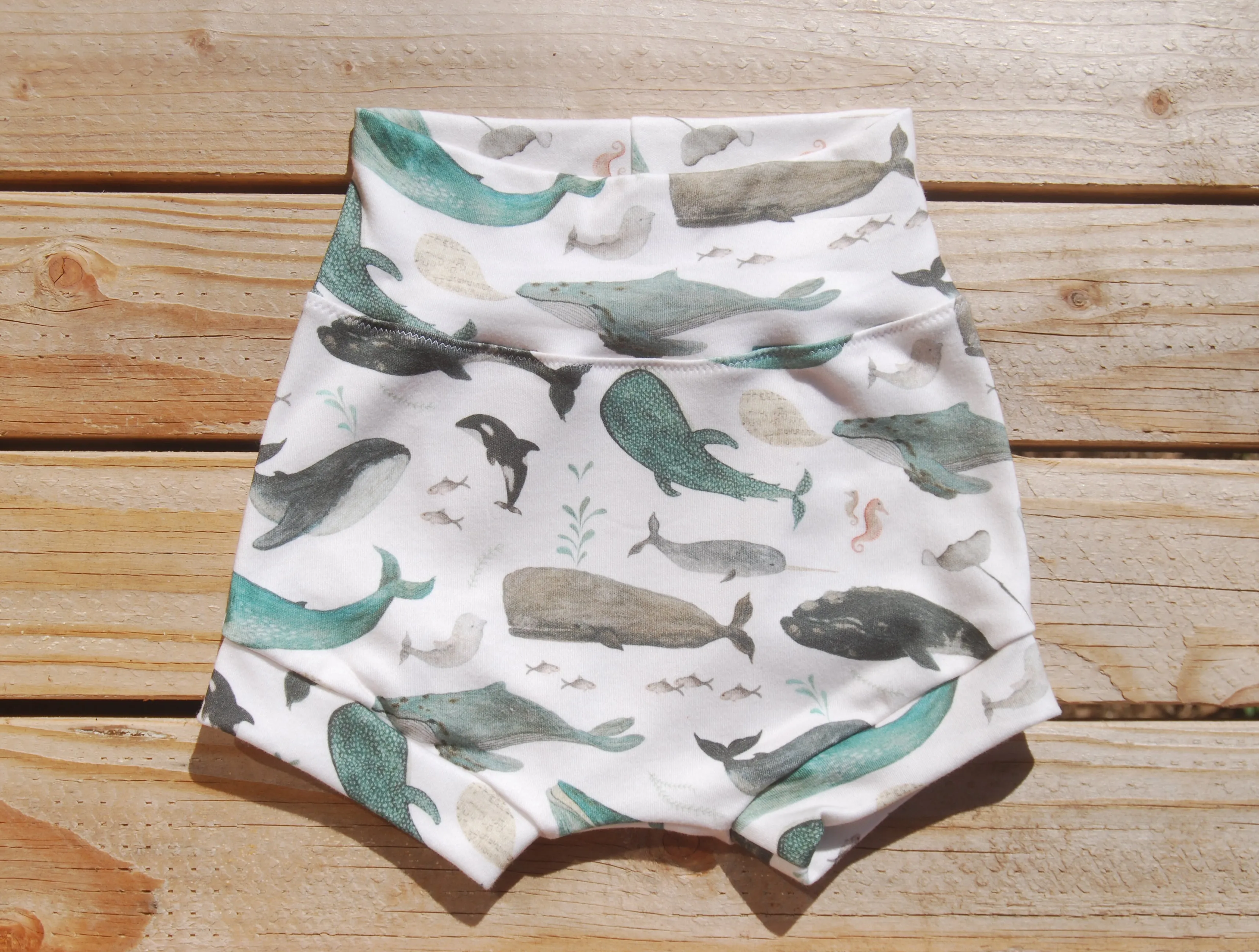 Velzy Shorts - WHALES