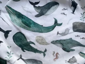 Velzy Shorts - WHALES