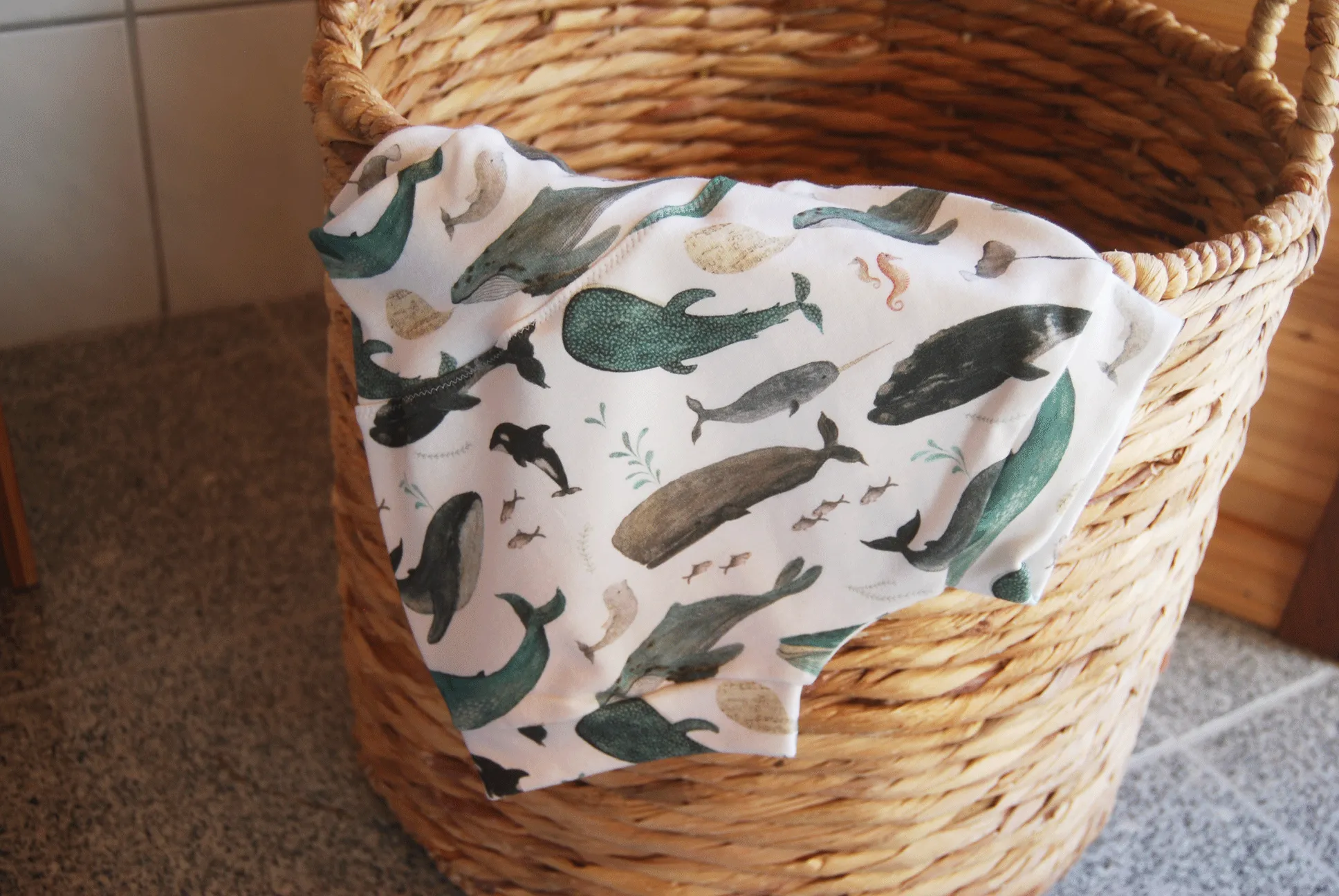 Velzy Shorts - WHALES